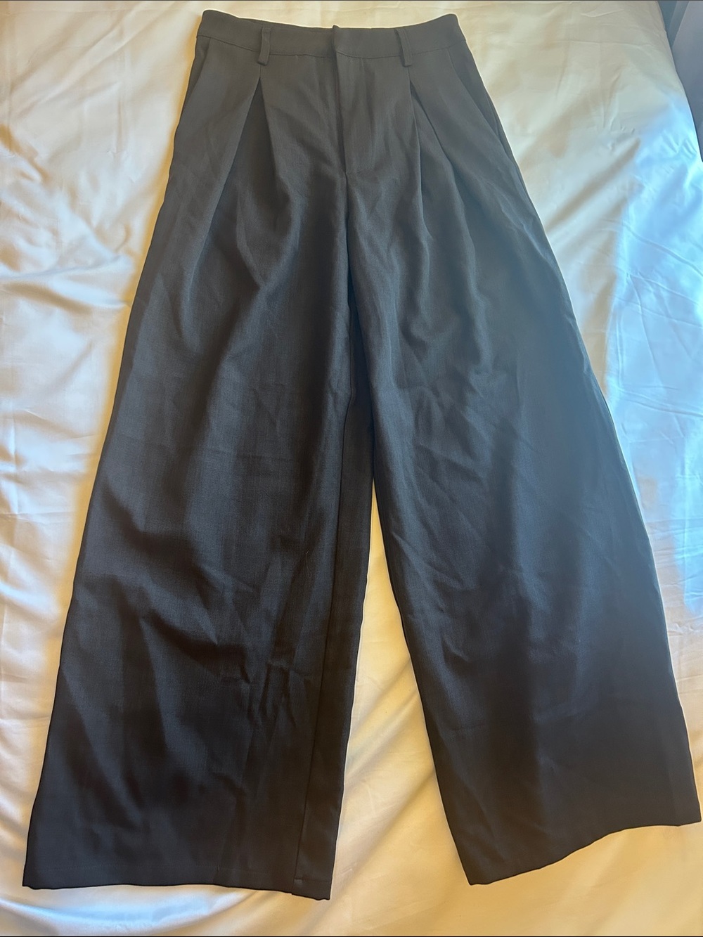Cider brown Wide-Leg Pleated Women's Pants
